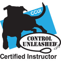 Control Unleashed Instructor Certification Program - CCUI