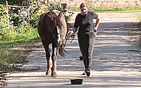 Control Unleashed® for Horses