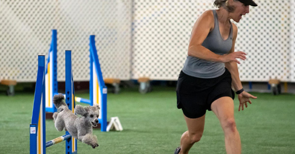 Blind Crosses: When and Where