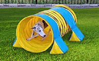 60 Things To Do with a Short (or Long) Tunnel in Your Backyard