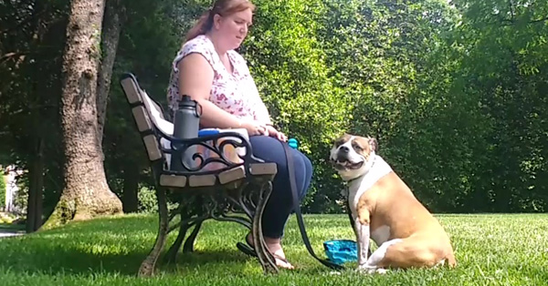 Look at That: Creating a Focused & Calm Dog