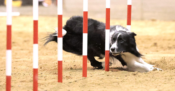 Extreme Ninja Weave Challenges