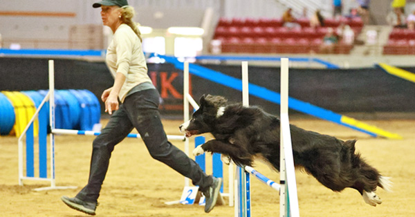 Not Ready for Prime Time Agility Workshop