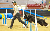 Not Ready for Prime Time Agility Workshop