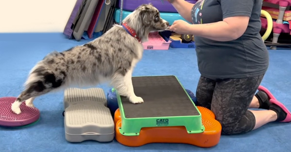 Posture Evaluation and How it Affects Exercise and Sport Performance