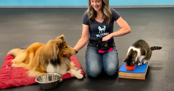 Control Unleashed Voluntary Sharing