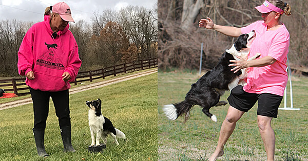 In the Connection Zone