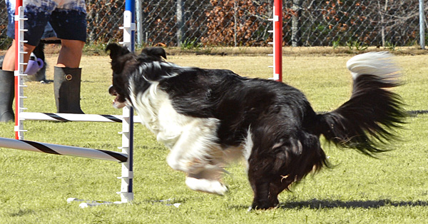 Jump Collection: How to Achieve Efficient Tight Turns