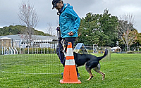 Channel Heeling: A Fun & Easy Way to Teach Heeling for Dog Sports