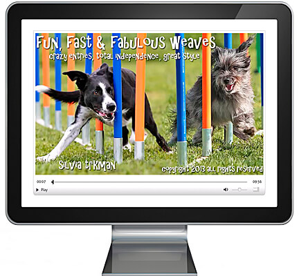 Fun, Fast & Fabulous Weaves