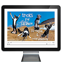 Tricks for Balance, Strength & Coordination