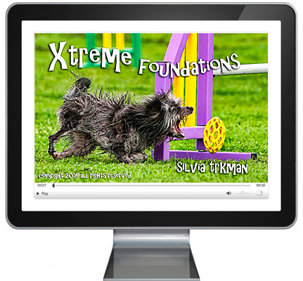 Xtreme Foundations
