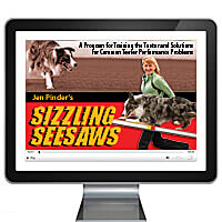 Sizzling Seesaws