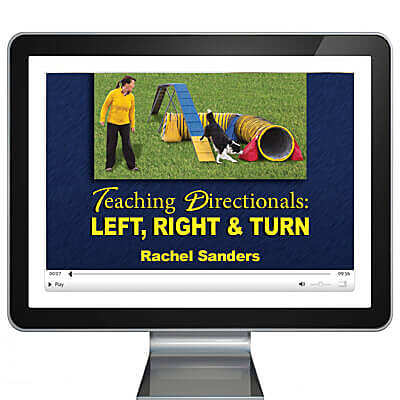 Teaching Directionals: Left, Right & Turn