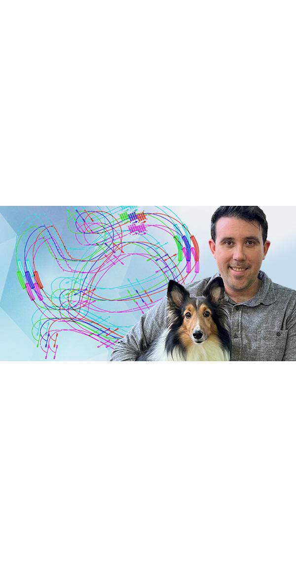 Agility Course Design - Roadmaps for Success for Handlers, Trainers ...