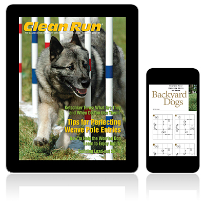 Clean Run Magazine - November 2012