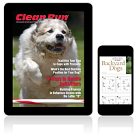 Clean Run Magazine - December 2006