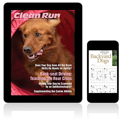 Clean Run Magazine - February 2009