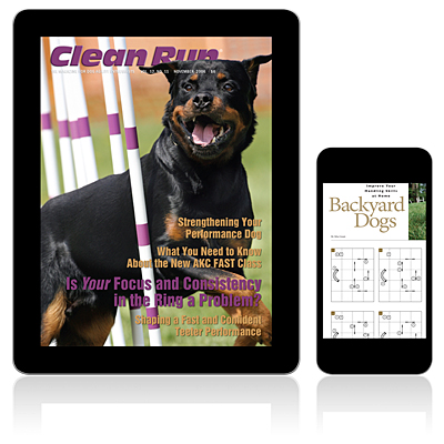 Clean Run Magazine - November 2006