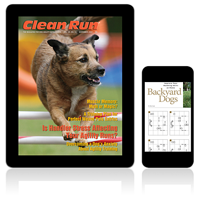 Clean Run Magazine - November 2007