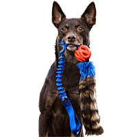Doggie-Zen Bungee Raccoon Tail Tugs with Breathe Right Ball