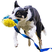 Doggie-Zen Faux Fur Squeaker Chaser