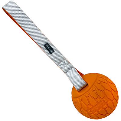 N-Gage Squeaker Ball with Handle