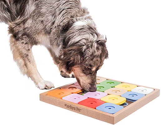 My Intelligent Pets Dog Sudoku Genie - Color Edition