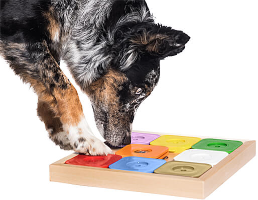 My Intelligent Pets Dog Sudoku Expert - Rainbow Edition