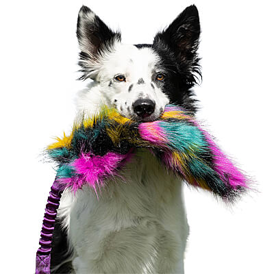 Doggie-Zen Bungee Crinkle Tug, DZ-7872