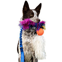 Doggie-Zen Bungee Faux Fur Tug with Medium Chuckit Ball & Sheepskin