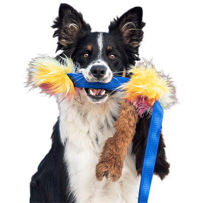 Doggie-Zen Octopus Squeaker Chaser with Rabbit & Sheepskin - Large