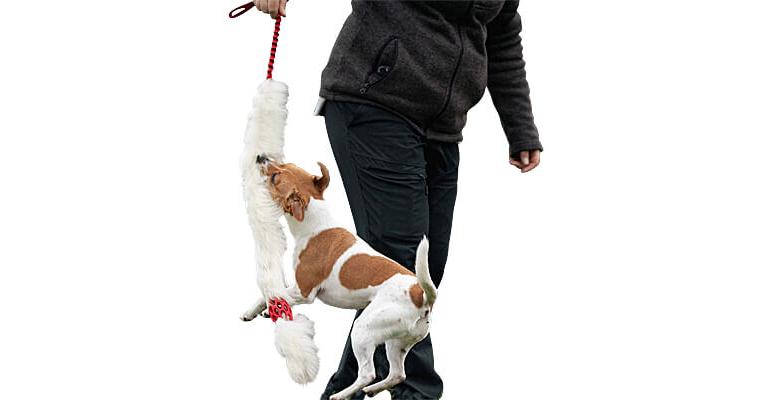 Doggie-Zen Bungee Hol-ee Comet Sheepskin Chaser, DZ-7559 - Clean Run