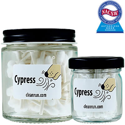 Scented Swabs - Cypress