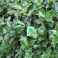 Clip-On Hanging Vessel