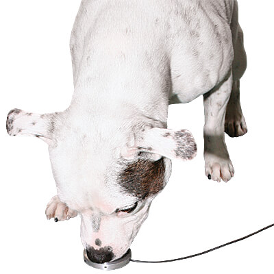 Touch It Electronic Nose Touch Trainer