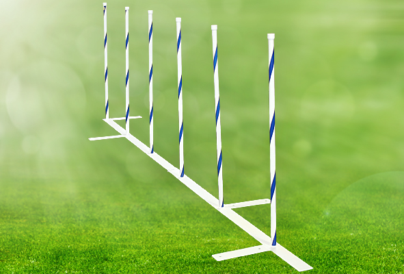 royal canin mother and baby cat canned