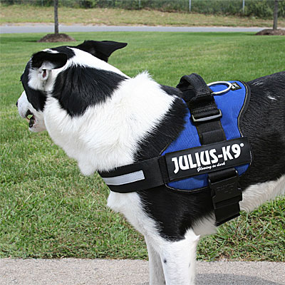 Julius K9 Power Harness Sizing Chart