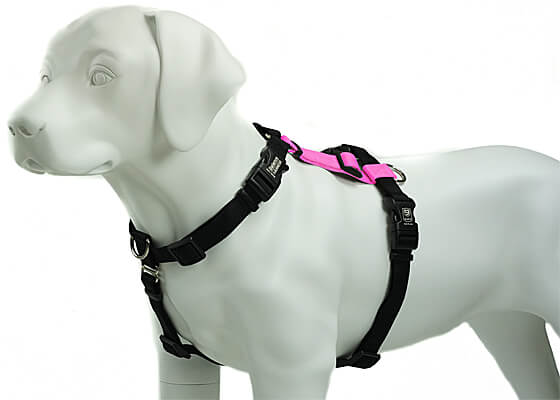 Vibrant Life Diagonal Stripe Extra Wide Adjustable Reflective Collar for  Dogs, Pink & Gray, Large 