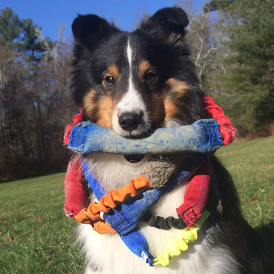 A Bling Ring super fan