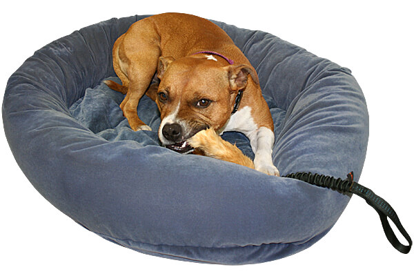 Why we don't leave dogs unattended with rabbit toys