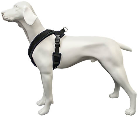 dog walking harness