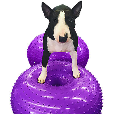 You can use 2 SensiDonuts together