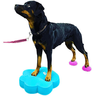Use with PawStackers