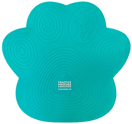 PawDisc Aqua