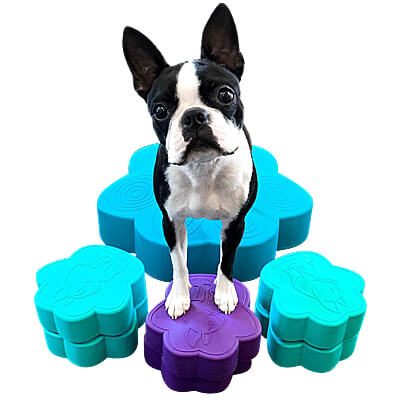 Use with Mini PawDiscs