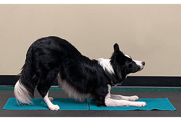 Straight and wavy pattern mats