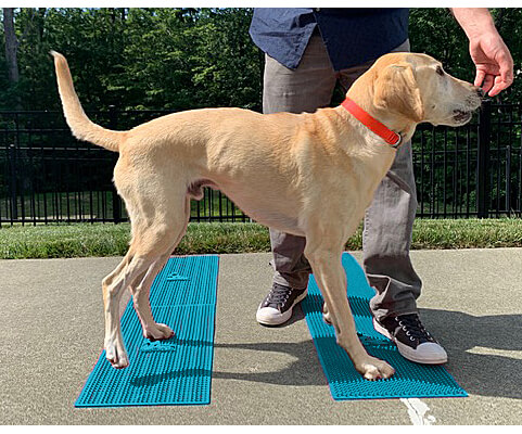 Wavy and straight pattern mats