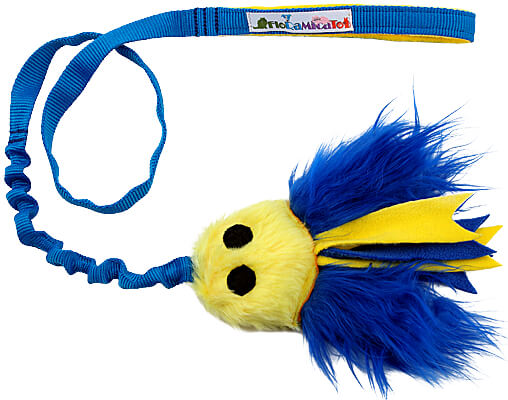 Yellow head with dark blue legs