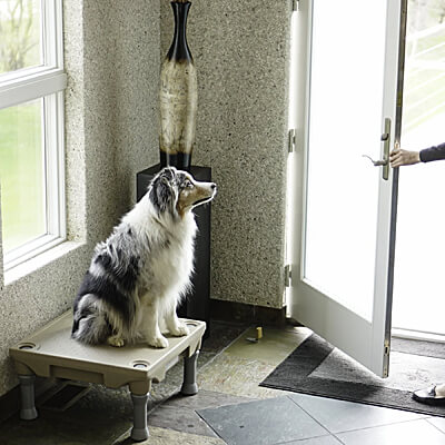 Use the KLIMB for teaching manners